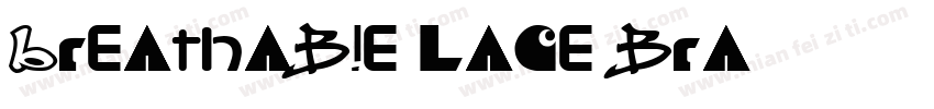 Breathable Lace bra字体转换